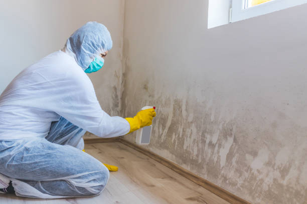 Licensed Mold Cleanup service in Fairfield, TX - WQB Mold Removal