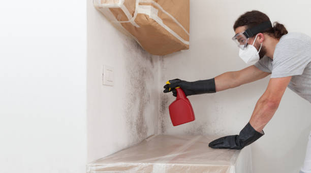 Professional Mold Cleanup technician working in Fairfield, TX
