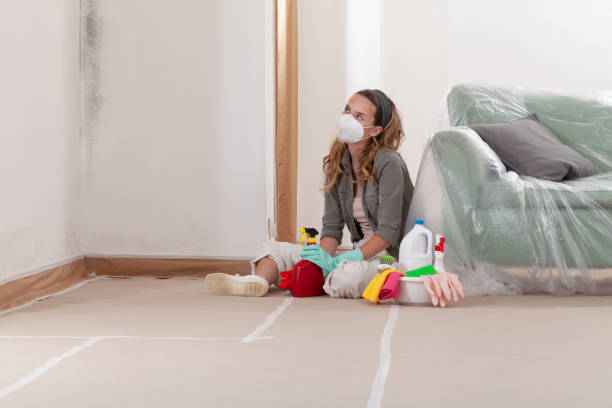 Reliable Mold Cleanup contractor in Fairfield, TX by WQB Mold Removal
